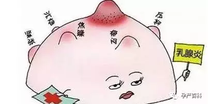哺乳期乳腺炎，慎用抗生素！