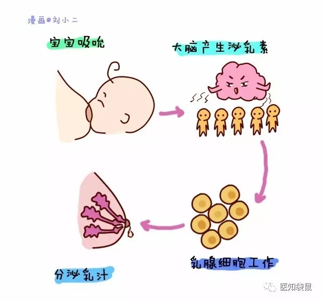寶寶一哭就喂奶？