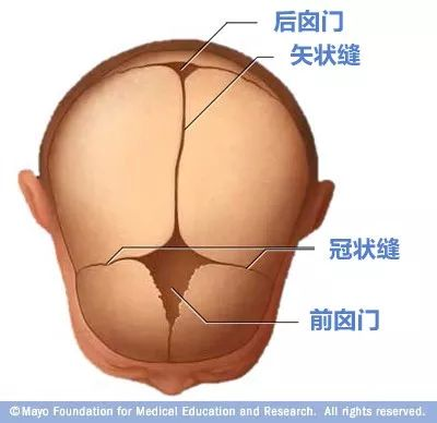 寶寶的囟門很重要，出現(xiàn)這3種異常要當(dāng)心！