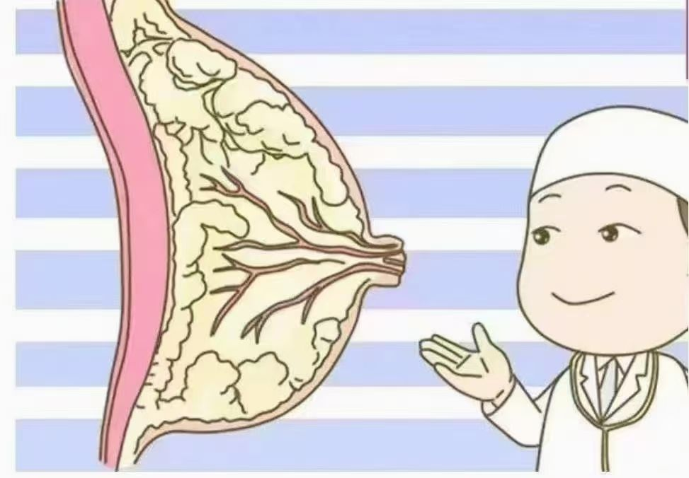 6步疏通奶結(jié)，告別乳房脹痛，月嫂必學(xué)！
